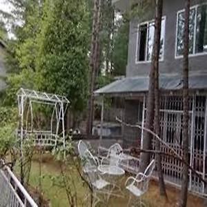 Pinetree Resort Nathiagali Nathia Gali Экстерьер фото